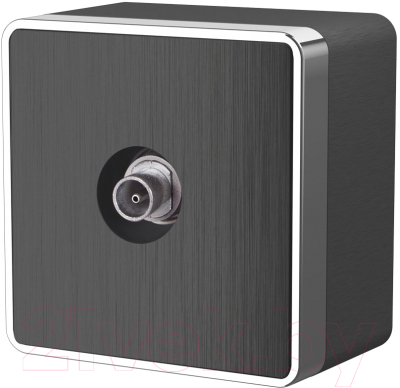 Розетка Werkel Gallant ТВ W5083004 - фото