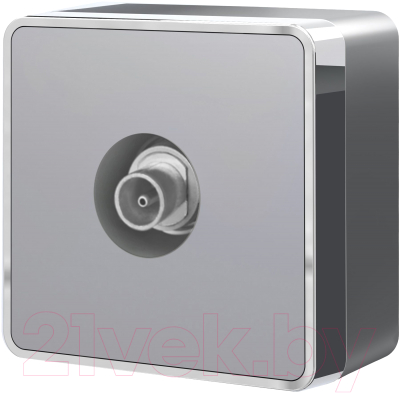 Розетка Werkel Gallant ТВ W5083006 - фото