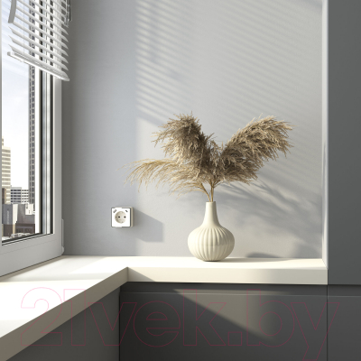 Розетка Werkel Gallant W5071703