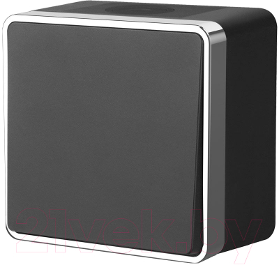 Выключатель Werkel Gallant W5010235 - фото