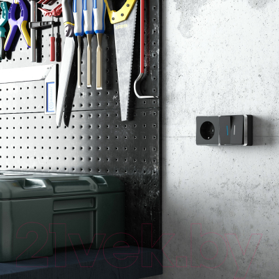 Выключатель Werkel Gallant W5020135