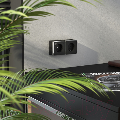 Розетка Werkel Gallant W5071735