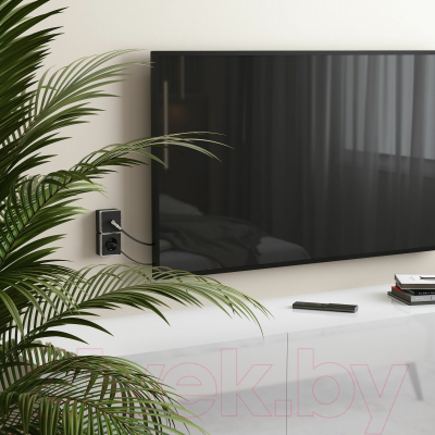 Розетка Werkel Gallant ТВ W5083035