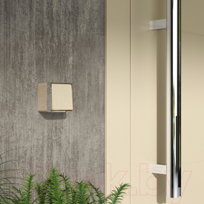 Выключатель Werkel Gallant W5010210