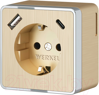 Розетка Werkel Gallant W5071710 - фото