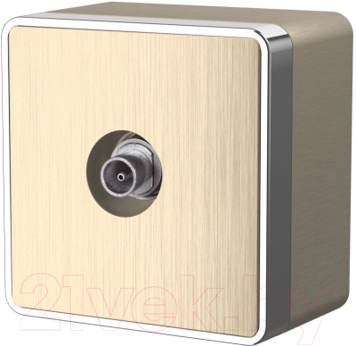 Розетка Werkel Gallant ТВ W5083010 - фото