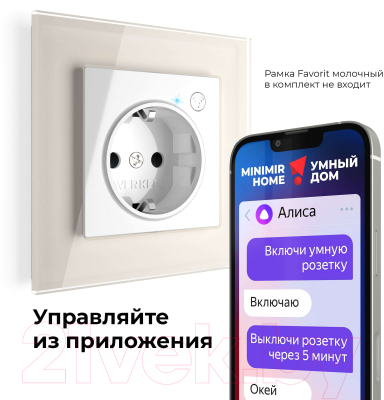 Умная розетка Werkel W1171601