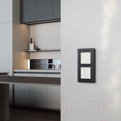 Умный диммер Werkel W3443101