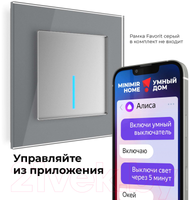 Умный выключатель Werkel W4510606