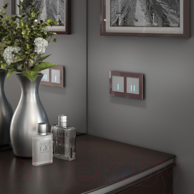 Умный выключатель Werkel W4520606