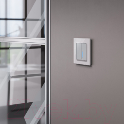 Умный выключатель Werkel W4520606