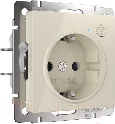 Умная розетка Werkel W1171603 - фото