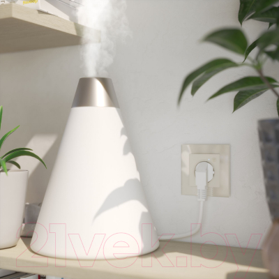 Умная розетка Werkel W1171603