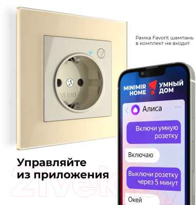 Умная розетка Werkel W1171603