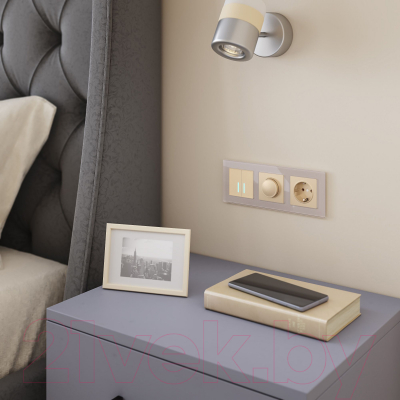 Умный выключатель Werkel W4520611