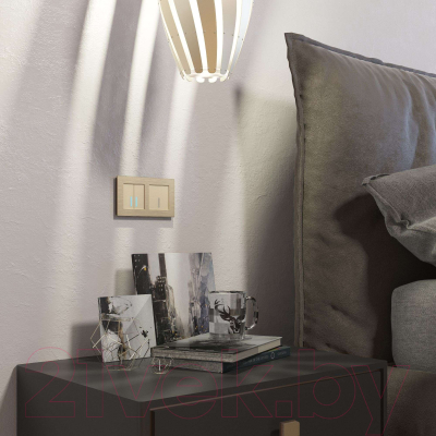 Умный выключатель Werkel W4520611