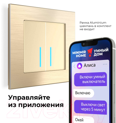 Умный выключатель Werkel W4520611