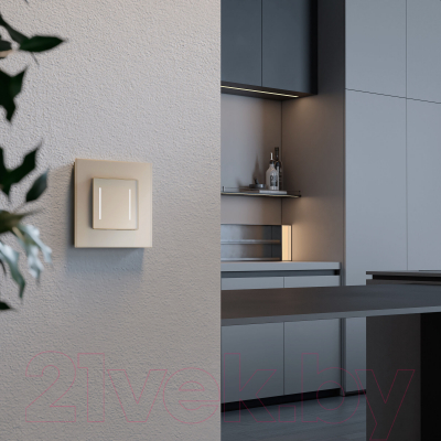 Умный выключатель Werkel W4523011