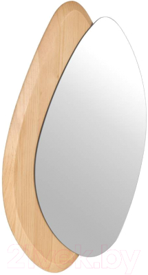 Зеркало Eglo Lioma 425049