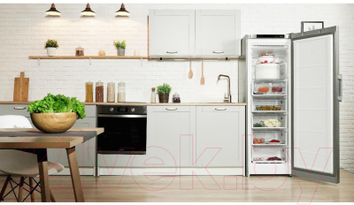 Морозильник Indesit DFZ 5175 G