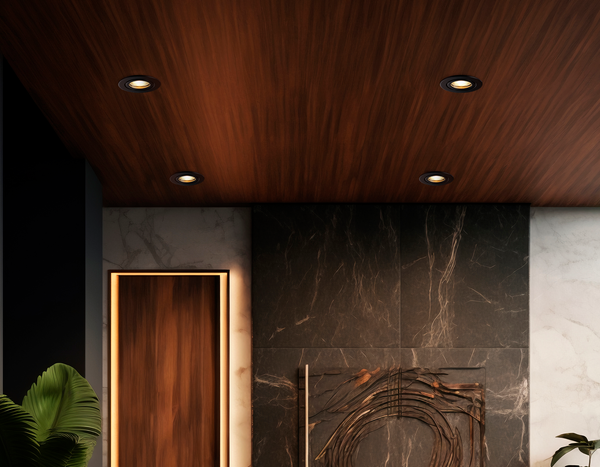 Точечный светильник Ambrella TN102451 BK