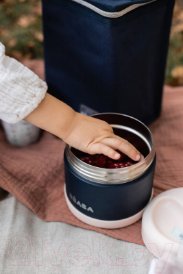 Термос для еды Beaba Thermo-Portion Inox 912910