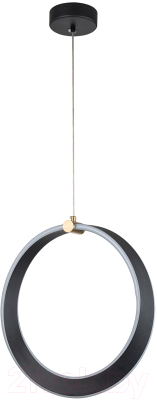 Потолочный светильник Indigo Light Parade V000070L - фото