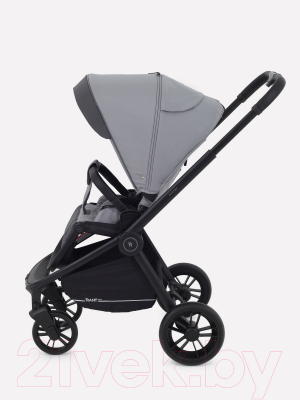 Детская универсальная коляска Rant Energy Basic 3 в 1 2024 / RA092