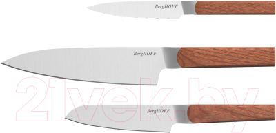Набор ножей BergHOFF Dina Ion 1315075 - фото