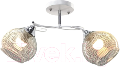 Потолочный светильник Aitin-Pro НПБ 02-2x60-101 / 6072/2 - фото