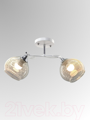 Потолочный светильник Aitin-Pro НПБ 02-2x60-101 / 6072/2