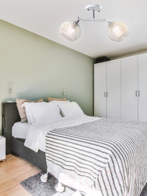 Потолочный светильник Aitin-Pro НПБ 02-2x60-101 / 6072/2