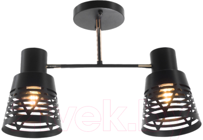 Потолочный светильник Aitin-Pro НПБ 02-2x60-101 / 6074/2 - фото