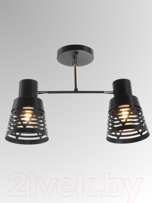 Потолочный светильник Aitin-Pro НПБ 02-2x60-101 / 6074/2