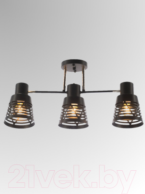 Люстра Aitin-Pro НПБ 02-3x60-101 / 6074/3