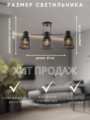 Люстра Aitin-Pro НПБ 02-3x60-101 / 6074/3