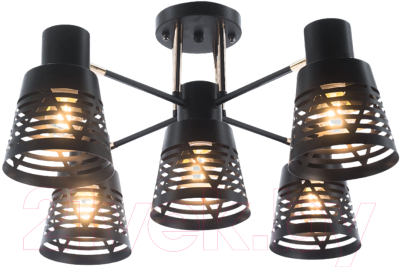 Люстра Aitin-Pro НПБ 02-5x60-101 / 6074/5 - фото