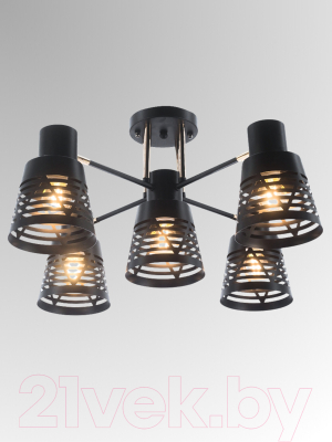 Люстра Aitin-Pro НПБ 02-5x60-101 / 6074/5