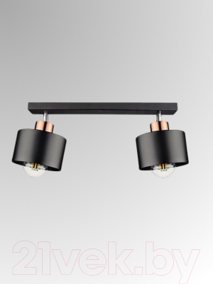 Спот Aitin-Pro НПБ 02-2x60-102 / 8825/2