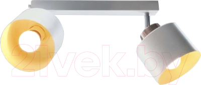 Спот Aitin-Pro НПБ 02-2x60-102 / 8825/2 - фото