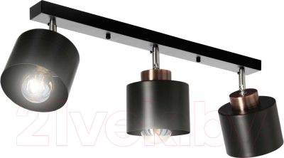 Спот Aitin-Pro НПБ 02-3x60-102 / 8825/3 - фото