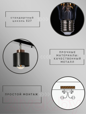 Спот Aitin-Pro НПБ 02-3x60-102 / 8825/3