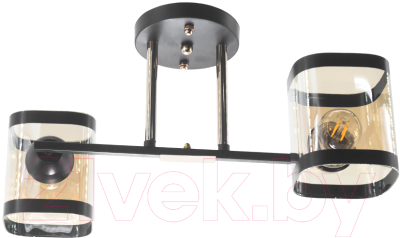 Потолочный светильник Aitin-Pro НПБ 02-2x60-101 / 9063/2 - фото