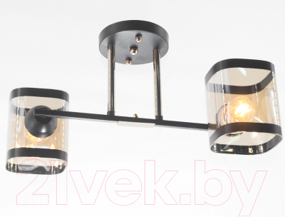 Потолочный светильник Aitin-Pro НПБ 02-2x60-101 / 9063/2