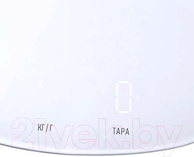 Кухонные весы Centek CT-2482