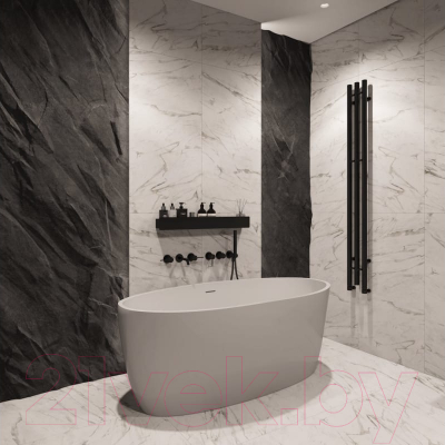 Ванна акриловая Teymi Lina 170x76x58 / T130101 (белый матовый)