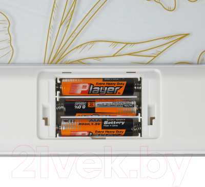 Напольные весы электронные Centek CT-2440