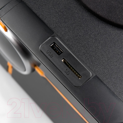 Мультимедиа акустика Dialog Progressive AP-502