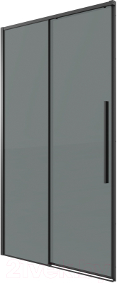 Душевая дверь Grossman Galaxy 100x195 / 100.K33.01.100.21.10