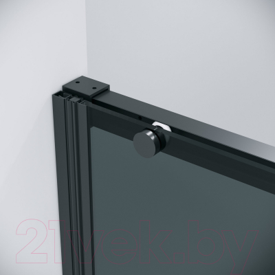 Душевая дверь Grossman Galaxy 100x195 / 100.K33.01.100.21.10